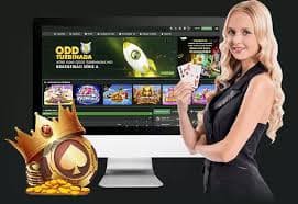 sunvip